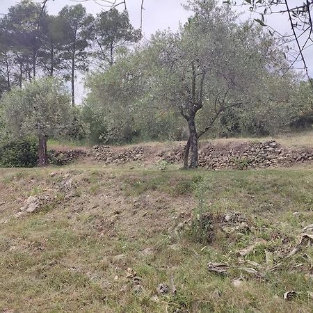 Auberge Des Esperels Rez De Maison Avec Jardin Figanieres Luaran gambar